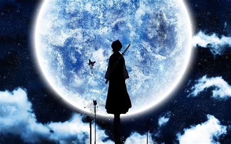 Bleach, Moonlight, Moon, Silhouette, Anime Wallpapers HD / Desktop and Mobile Backgrounds