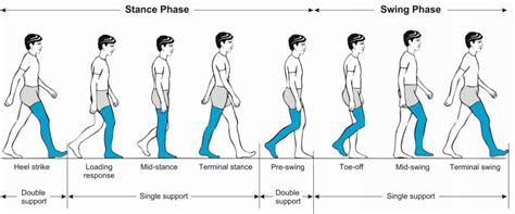 Why Your Big Toe Matters & What Your Bunion Is Actually Telling You - Next Level Physical Therapy