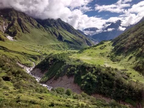 Valley of flowers, Hemkund sahib and Badrinath : More you explore, More it uncovers - Tripoto