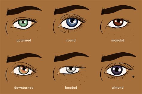 Types Of Eye Shapes