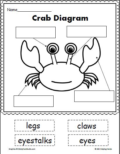 Crab Diagram Cut and Paste - Made By Teachers