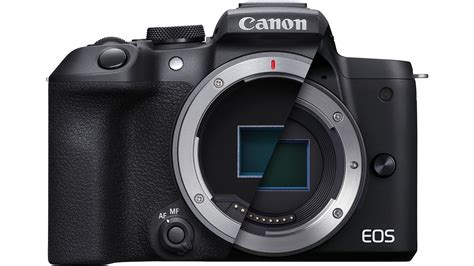 Canon reported to announce EOS R8, EOS R50 bodies and two new lenses in the next week