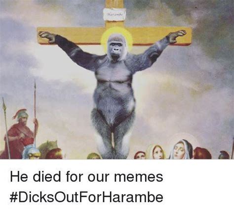 He Died for Our Memes | Harambe the Gorilla | Know Your Meme