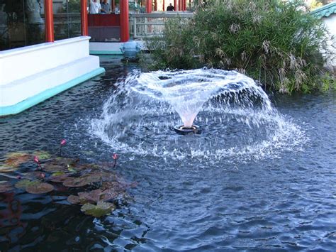 Floating Fountains For Small Ponds | Backyard Design Ideas