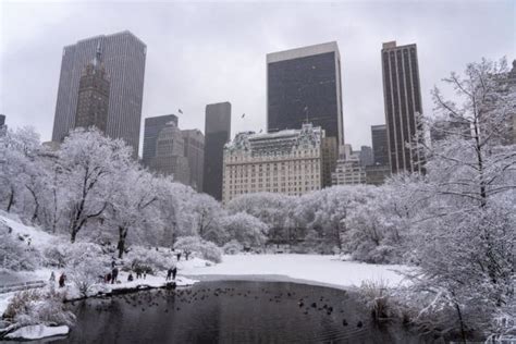 Central Park Winter Wonderland: 12 Best Places To Visit In The Snow