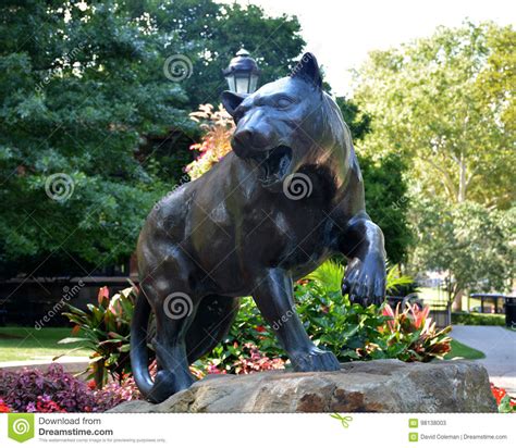 Pitt panther stock image. Image of statue, university - 98138003