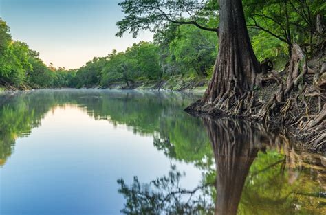 6 Beautiful Rivers In Florida State Parks You’ll Want to Float Down On ...