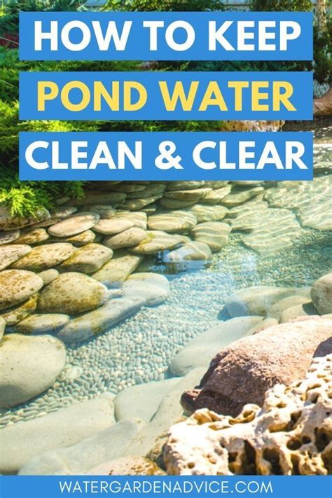 How To Keep Pond Water Clean & Clear | Fish pond gardens, Small water gardens, Garden pond design