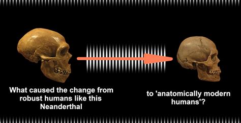 Encyclopedia | Free Full-Text | The Domestication of Humans