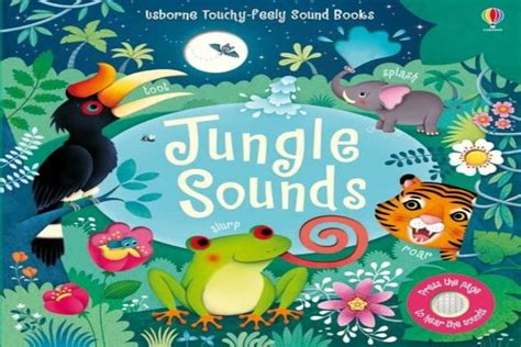 Top 8 Best Sound Books For Babies in First Year - Being The Parent