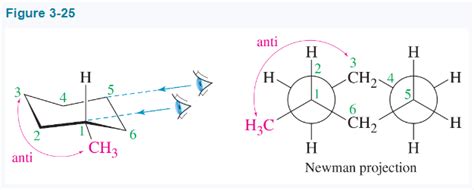 Draw Newman Projections Cyclohexane