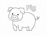 Pig Coloring Page  Little Bee Family sketch template