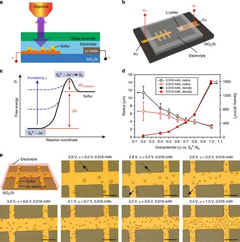 In situ observation of sulfur nucleation a Schematic of the setup for... | Download Scientific ...