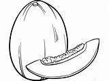 Cantaloupe Coloring Page Free Printable  Nation sketch template