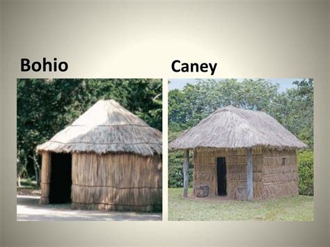 PPT - Tainos PowerPoint Presentation, free download - ID:2146153