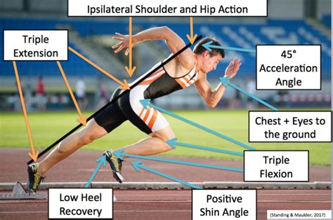 Biomechanics of Sprinting- Acceleration - Master of Tennis | Tennis Coach | Ahmedabad