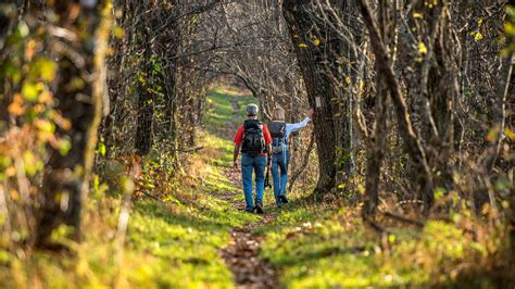 About Us | Appalachian Trail Conservancy