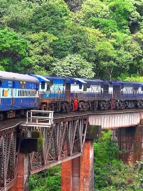 Experience the Nilgiri Mountain Railway - Tripnomadic