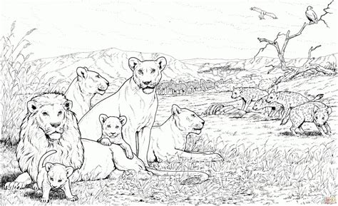 20+ Free Printable Lion Coloring Pages - EverFreeColoring.com