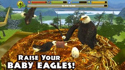 Eagle Simulator Tips, Cheats, Vidoes and Strategies | Gamers Unite! IOS