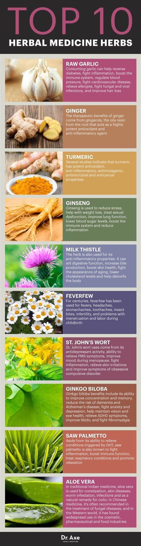 Top 10 Herbal Medicine Herbs