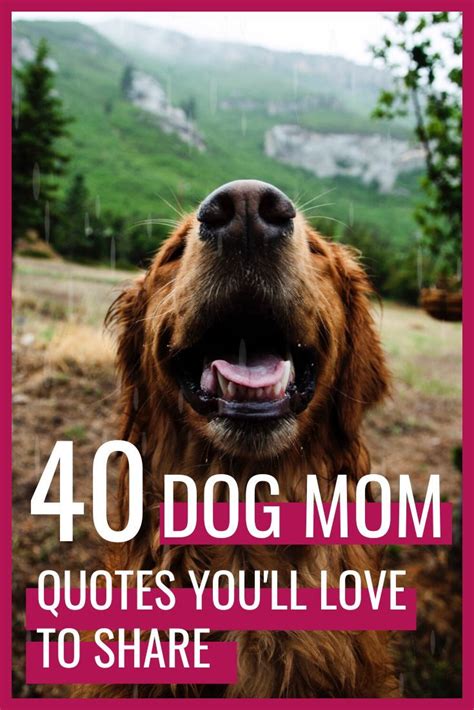 40 Share-worthy Dog Mom Quotes That You’ll Love | Dog mom quotes, Funny ...