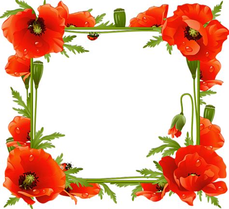 Poppies Transparent Frame Borders And Frames, Borders For Paper, Flower ...