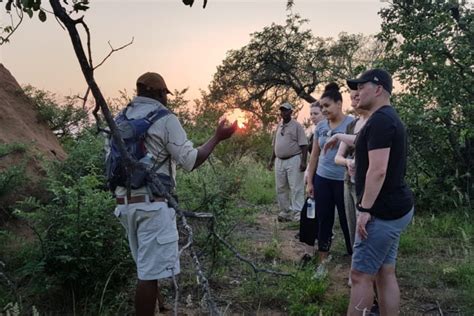 Experience Limpopo: Traditions, Nature Safari Adventure