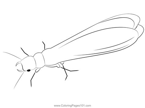 Dampwood Termite Coloring Page for Kids - Free Termites Printable Coloring Pages Online for Kids ...