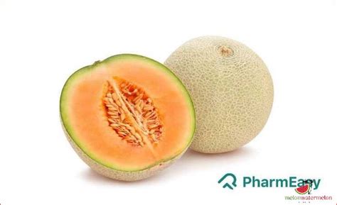 Discover the Arara Melon: Your Guide to this Unique Fruit - [Updated ...