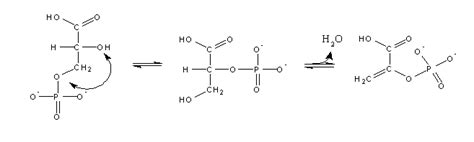 The chemical logic behind... Glycolysis