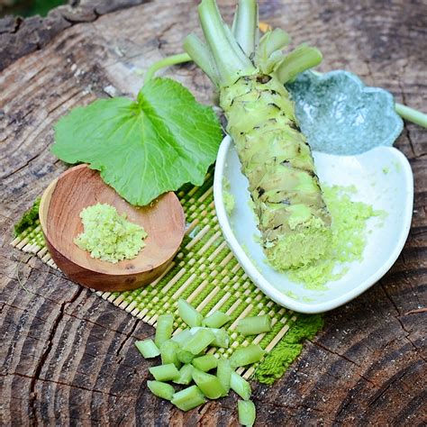 Wasabi Bare Root Plant - Territorial Seed Company | Territorial Seed