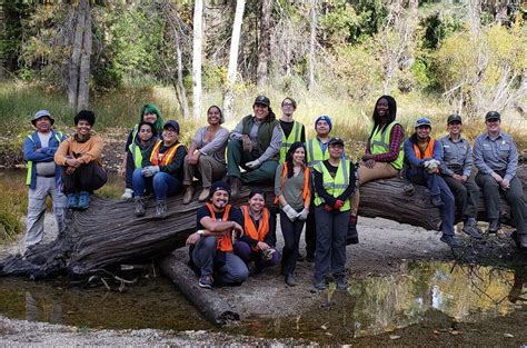 Group Volunteering - Yosemite National Park (U.S. National Park Service)