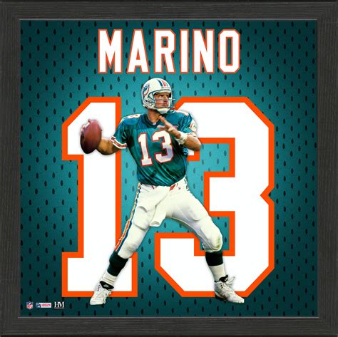 Dan Marino Jersey Impact Frame