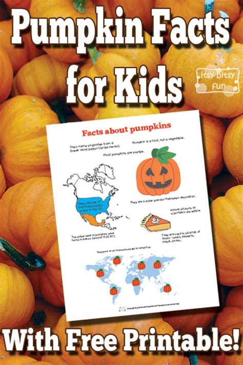 Pumpkin Facts for Kids - Itsy Bitsy Fun