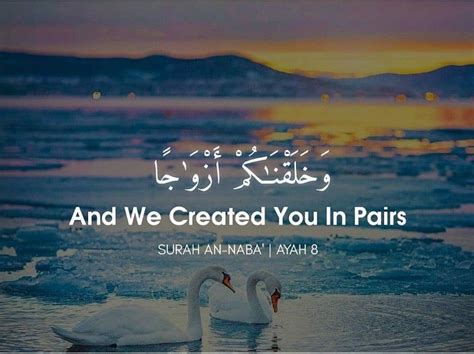 And We Created You In Pairs | Create yourself, Islamic love quotes, Quran verses