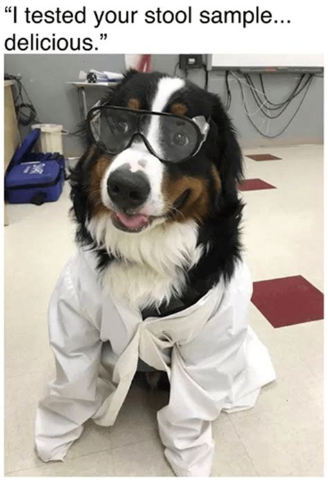 Thanks doctor... | Dogs | Know Your Meme