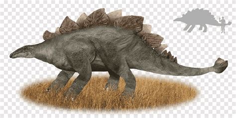 Muhuru Stegosaurus Cryptozoology Emela-ntouka Nguma-monene ...