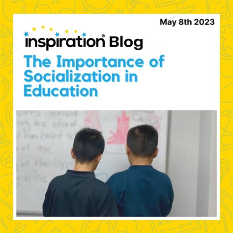 The Importance of Socialization in Education