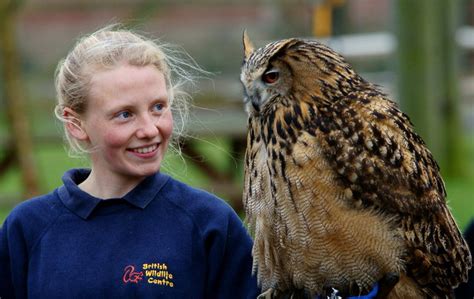 Eagle Owl at the British Wildlife... © Peter Trimming :: Geograph Britain and Ireland