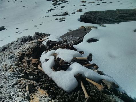 Roopkund Trek, the mystries trek of 8 days | Trekveda