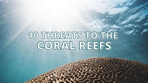 10 Threats to the World's Stunning Coral Reefs