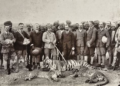 Bengal tiger hunting - British royals and Indian elite - colonial era, some interesting facts ...