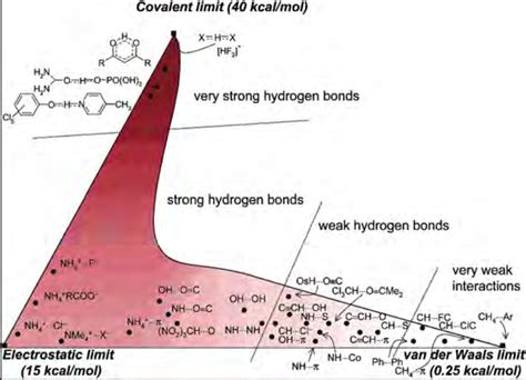 3. Hydrogen bonds energy diagram, where hydrogen bond strength is ...