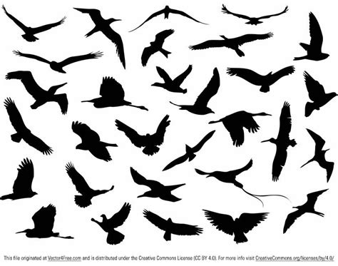 Free Free Bird Vector, Download Free Free Bird Vector png images, Free ...