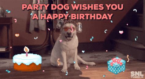 Party Dog GIFs - Find & Share on GIPHY