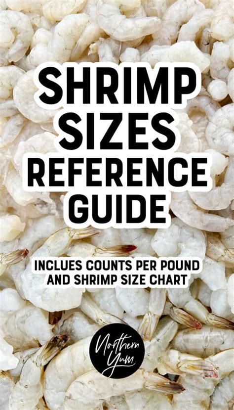 Shrimp Sizes Reference Guide Pin 3 - Northern Yum