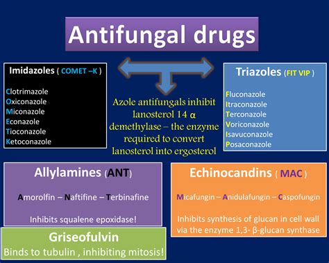 All Antifungal agents in one paper and how to remember their names easily | Medications nursing ...