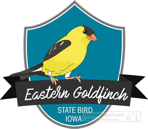 Iowa State Clipart-state bird of iowa eastern goldfinch clipart