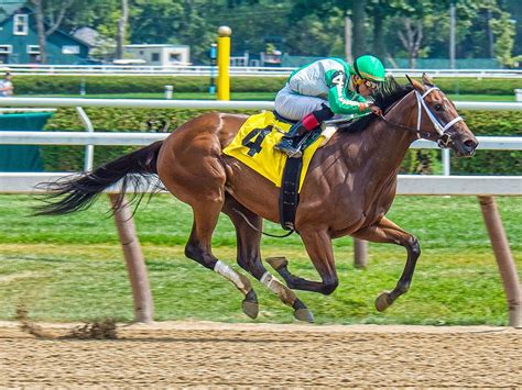 Legendary Equestrian Receives $1,400,000 Surprise for His Last Race ...